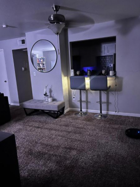 Cozy Apartment - Near Baylor
